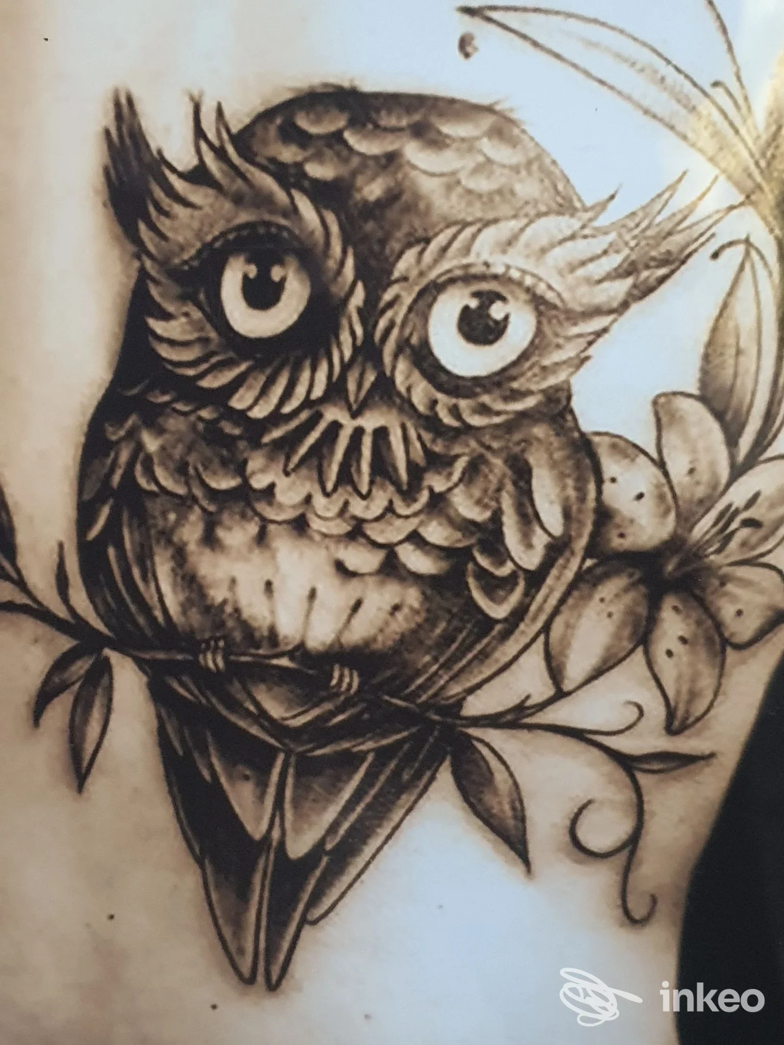 Tatuaggio nero su pelle raffigurante un gufo stilizzato con dettagli di piume e rami, area toracica/schiena visibile.