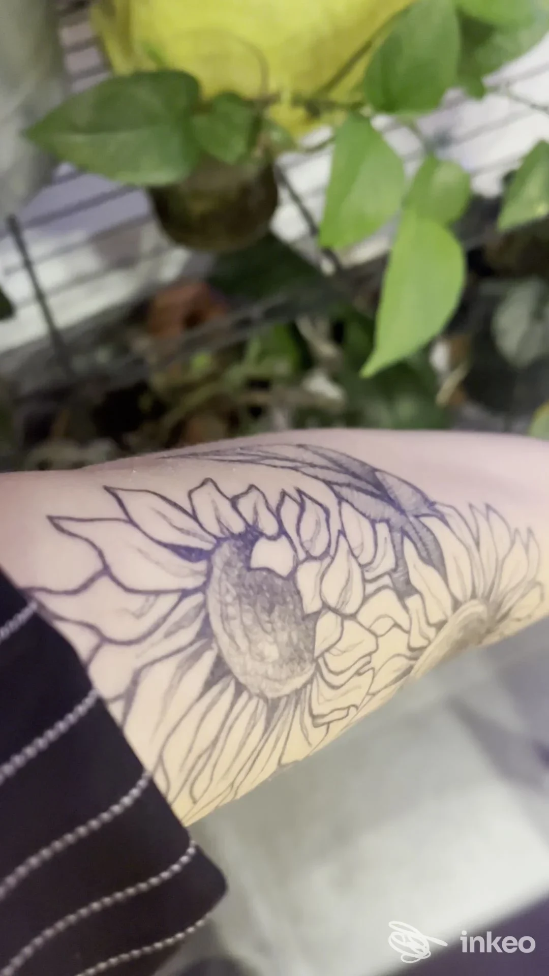 Tattoo a linee scure di girasole sull'avambraccio, ferrati con dettagli puliti e contorni netti, visto dall'angolazione. StudioPerelun Tattoo Studio.