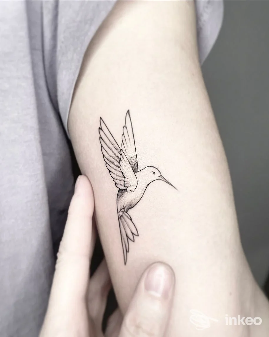 Tatuaggio di colibrì su avambraccio, stile lineare, eseguito su pelle, senza overlay o volto visibile.
