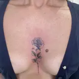 Profilo Instagram di SG Studio