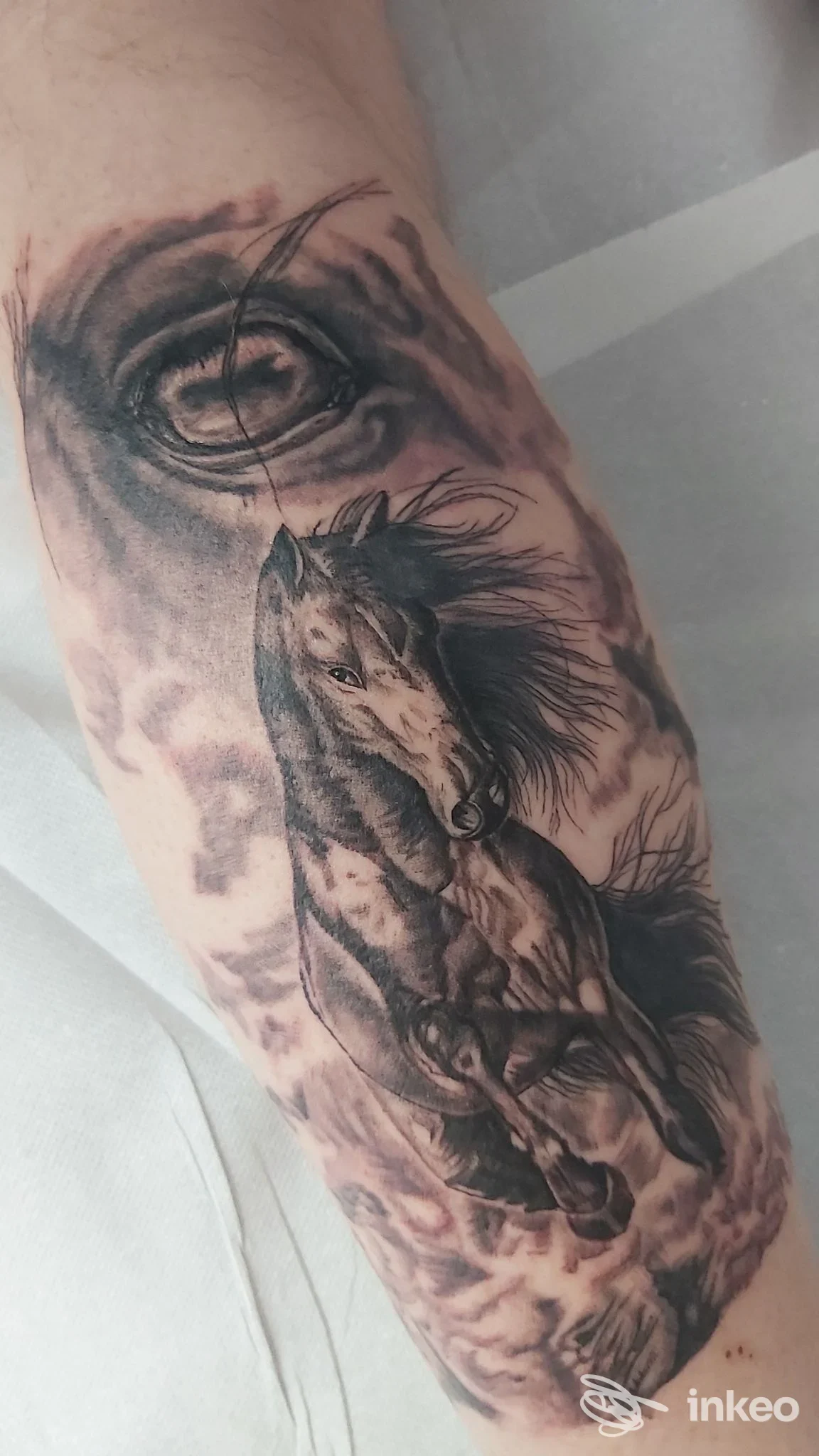 Tattoo sul braccio raffigurante un cavallo: dettaglio realistico con sfumature e linee nette, visibile la pelle umana senza elementi di interfaccia. Studio Amalea Studio Tattoo.
