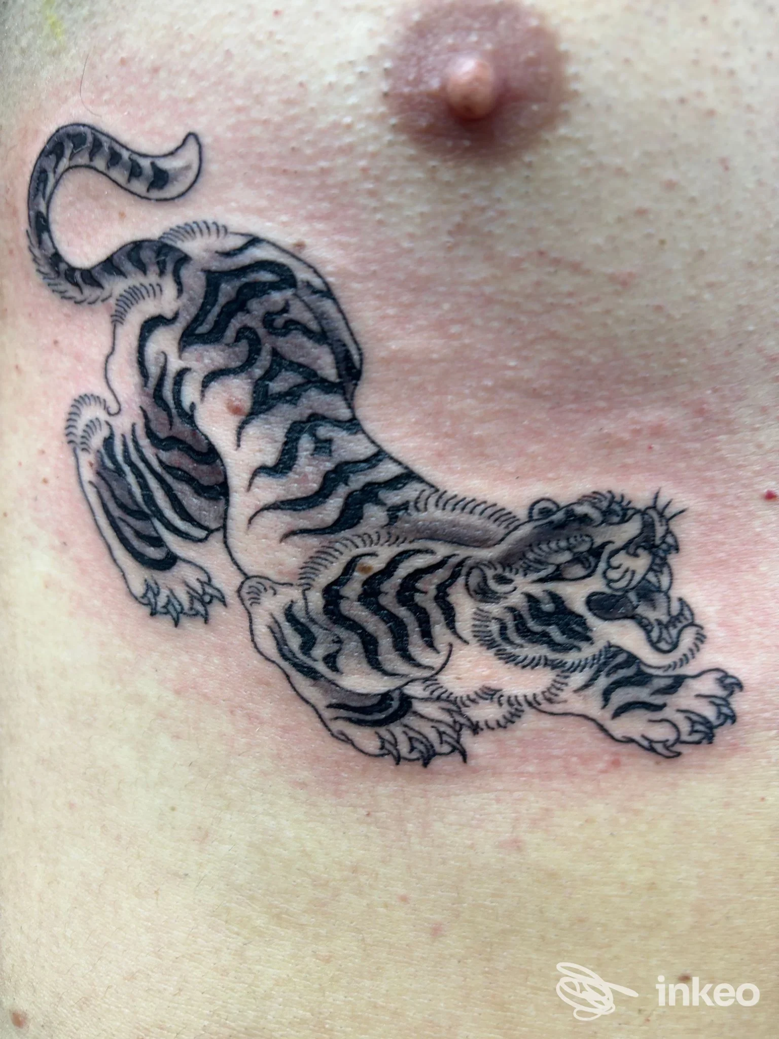 Tattoo stilizzato di tigre su pelle, visibile torace/petto sinistro, nessun volto visibile.