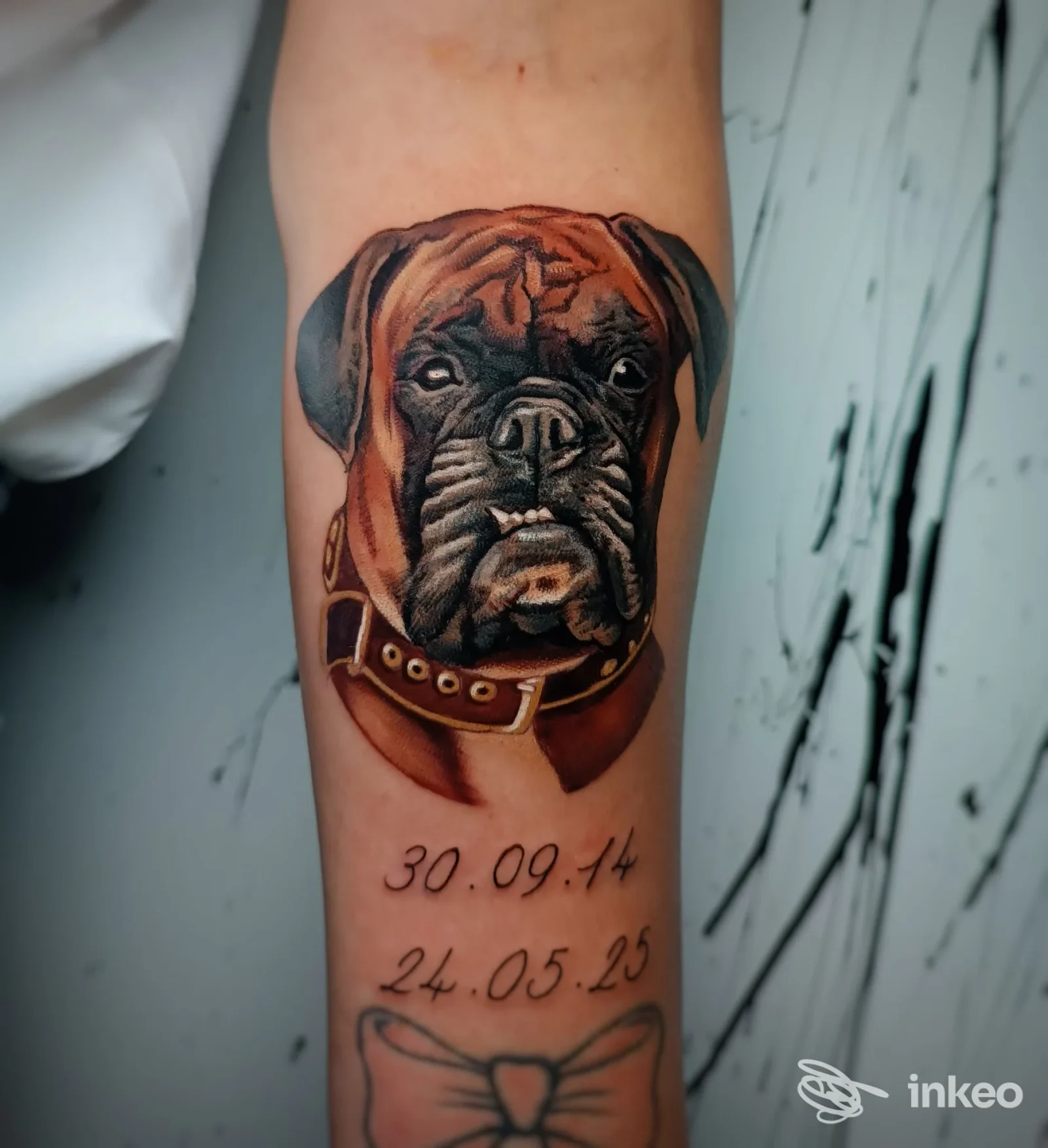Tattoo realistico di un cane su avambraccio, con collare marrone, accompagnato da due date tatuate: 30.09.14 e 24.05.25. Foto singola senza overlay o volto intero.
