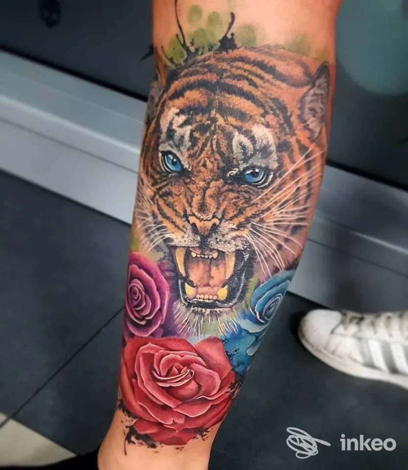 Tattoo realistico di tigre con occhi azzurri, bocca aperta e zanne, circondato da rose rosse e sfumature colorate, visibile sulla gamba.