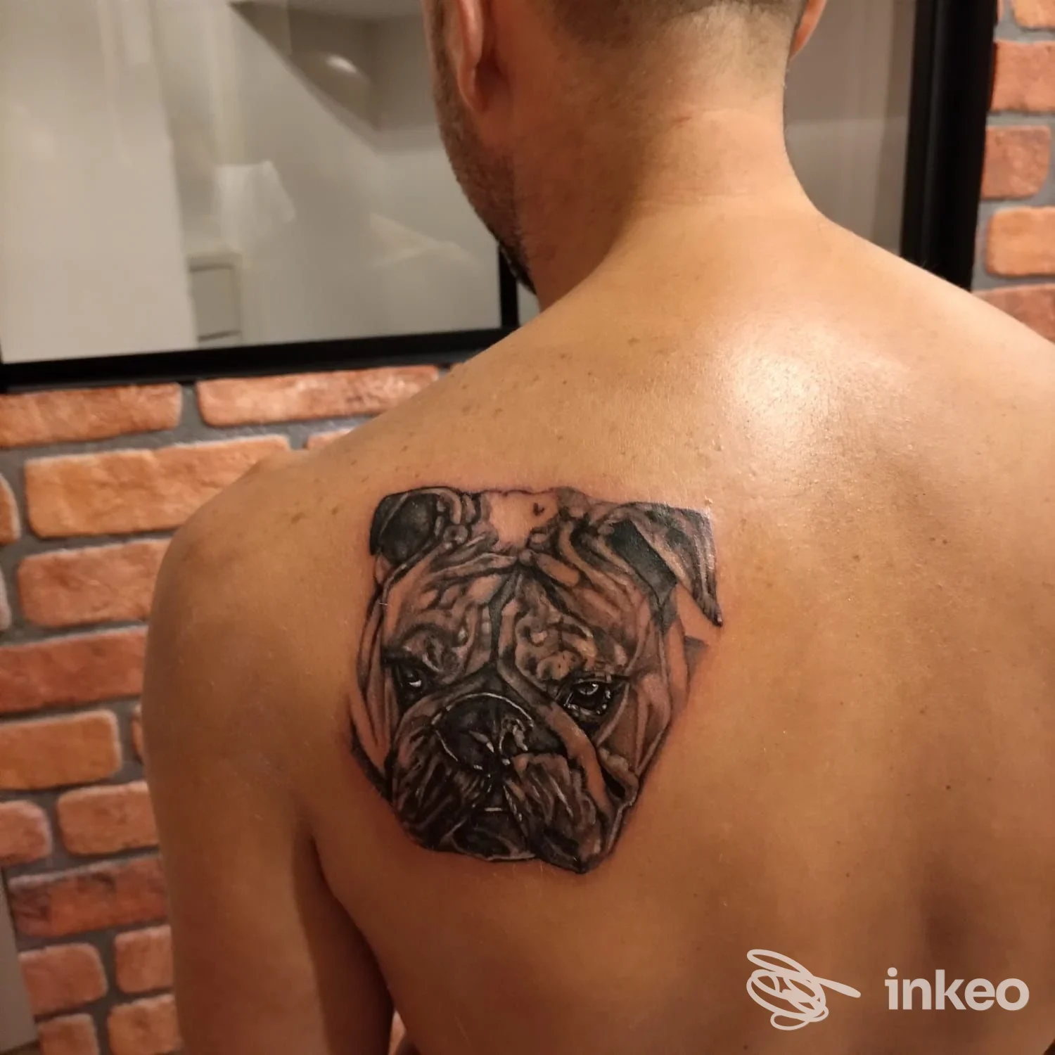Tattoo realistico di bulldog sulla spalla sinistra della schiena, sfondo a mattoni, foto senza viso completo.