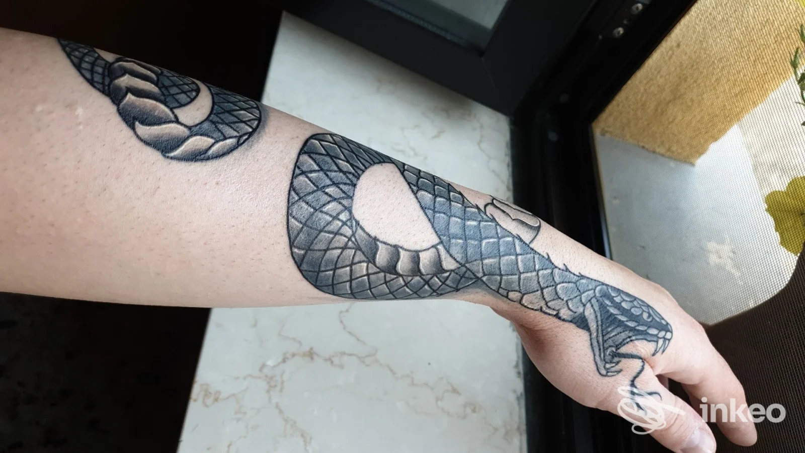 Tatuaggio serpente sull’avambraccio visibile, scatto singolo senza volto umano, testo o watermark visibile, realizzazione corporea su pelle.